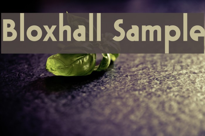 Bloxhall Sample Example 1