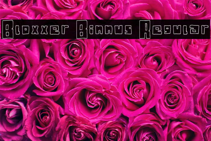Bloxxer Binnus Regular Example 1