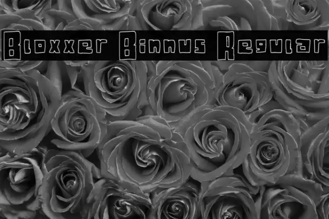 Bloxxer Binnus Regular Font examples