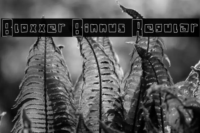 Bloxxer Binnus Regular Font examples