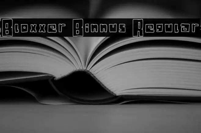 Bloxxer Binnus Regular Font examples