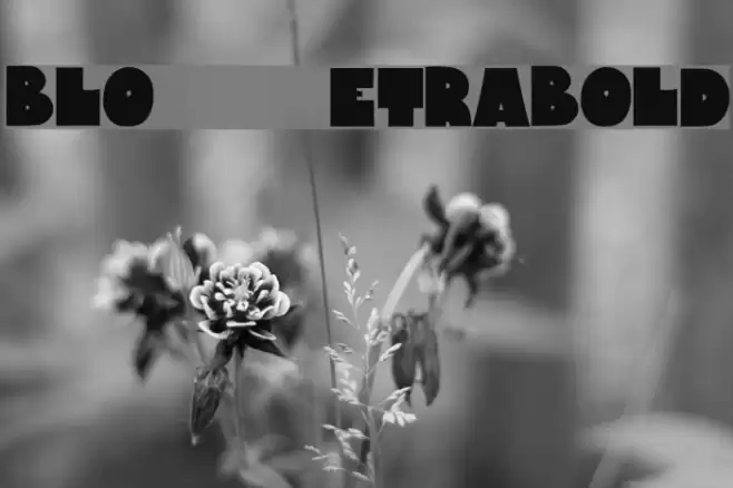 Bloxxxx ExtraBold Fuentes examples