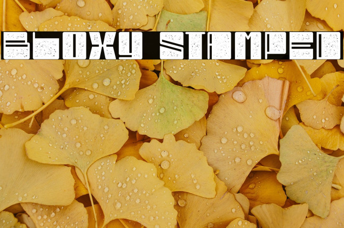 Bloxy Stamped Example 3