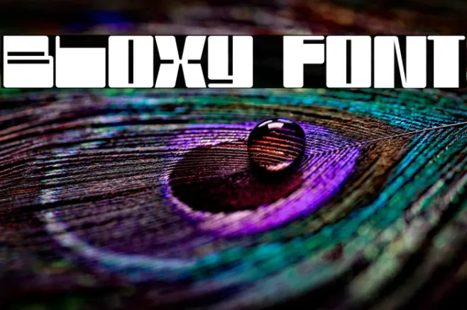 Bloxy Font Free Download TTF OTF FFonts Bloxy Font Free Download TTF OTF FFonts