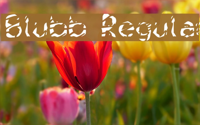 Blubb Regular Font examples
