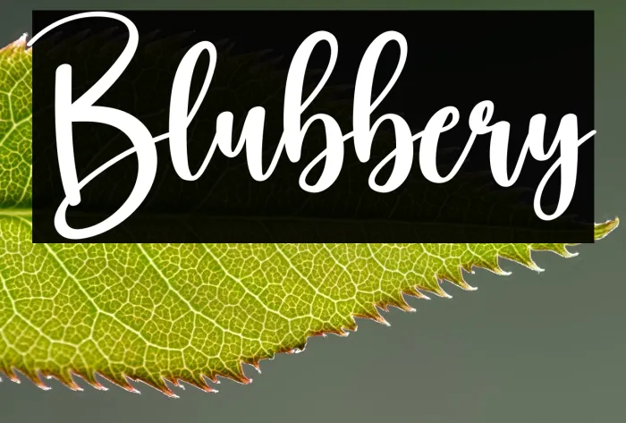 Blubbery Example 3