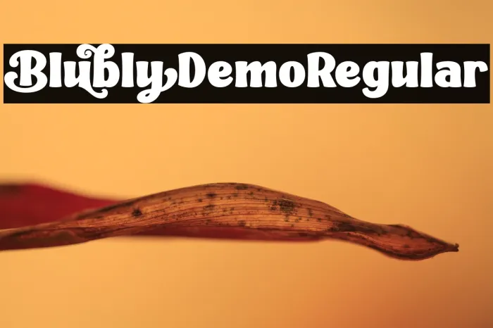 Blubly Demo Regular Example 1