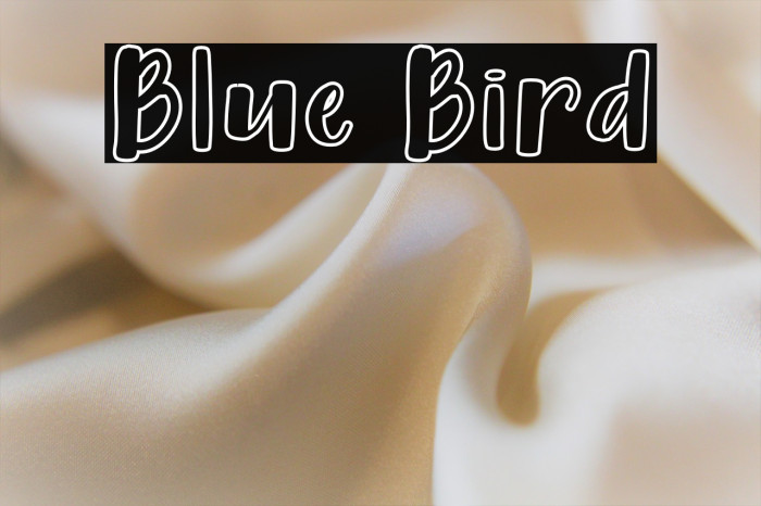 Blue Bird Example 1