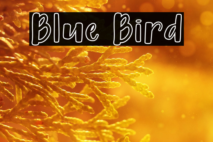 Blue Bird Example 2