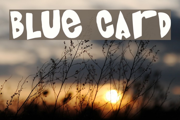 Blue Card Font examples