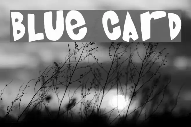 Blue Card Polices examples