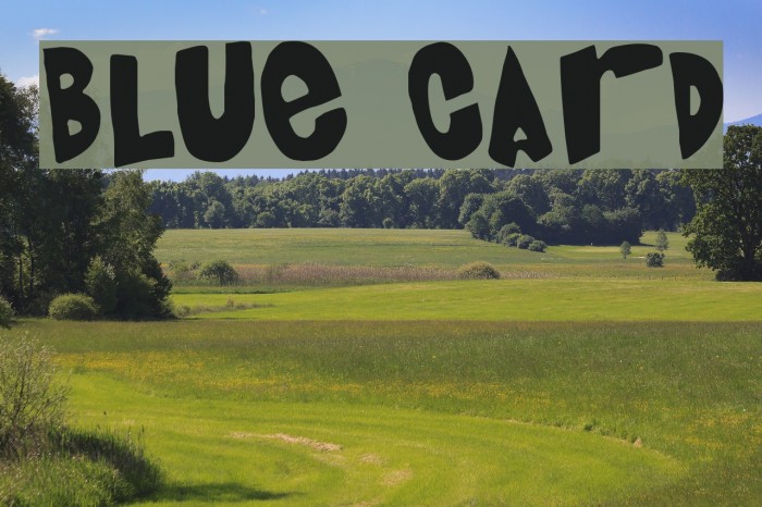 Blue Card Font examples
