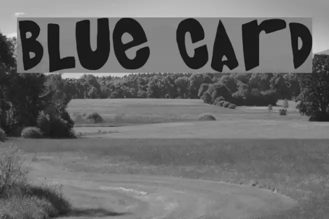 Blue Card Polices examples