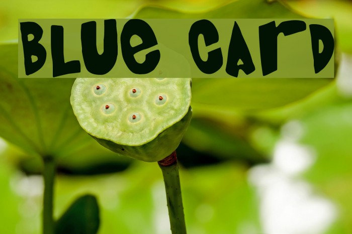 Blue Card Font examples