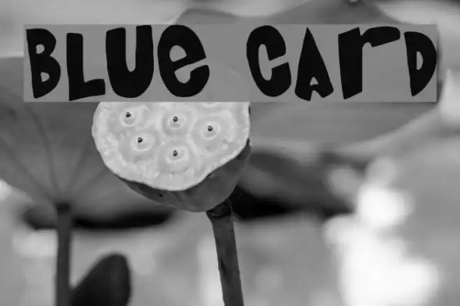 Blue Card Polices examples
