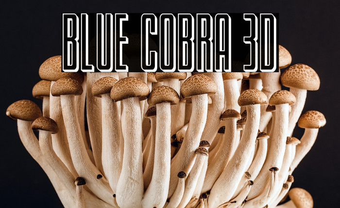 Blue Cobra 3D Example 1