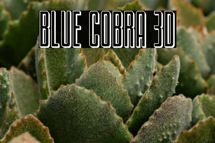 Blue Cobra 3D Example 3