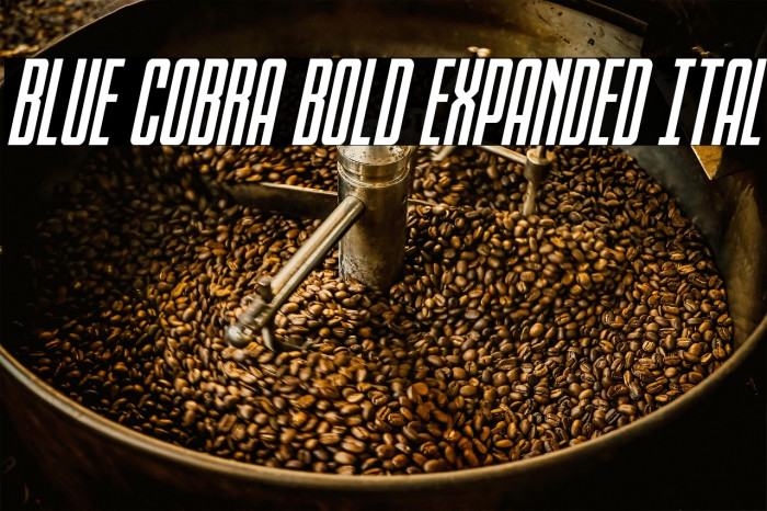 Blue Cobra Bold Expanded Ital Example 1