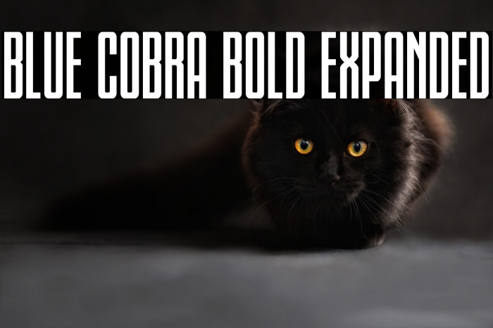 Blue Cobra Bold Expanded Example 2