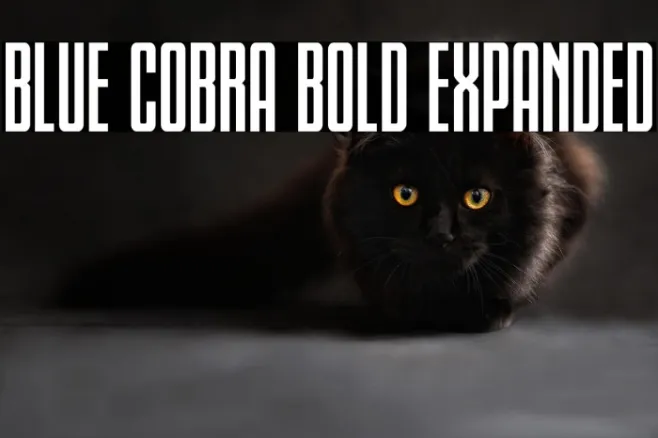 Blue Cobra Bold Expanded Example 2