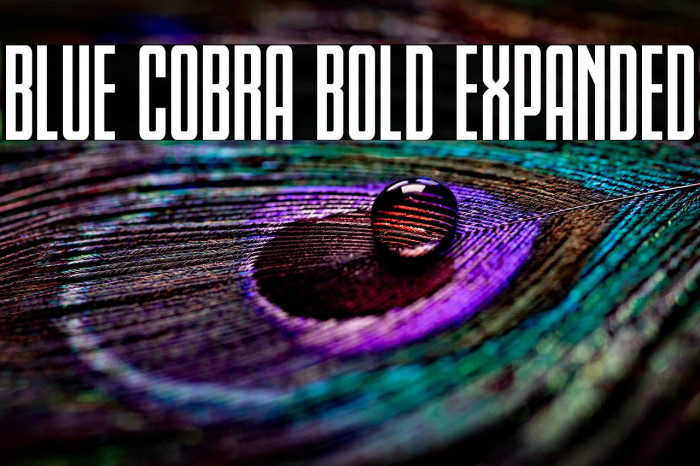 Blue Cobra Bold Expanded Example 3