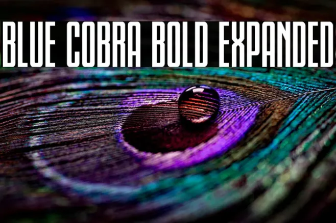 Blue Cobra Bold Expanded Example 3