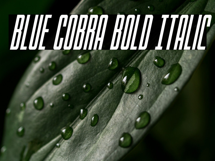 Blue Cobra Bold Italic Example 2