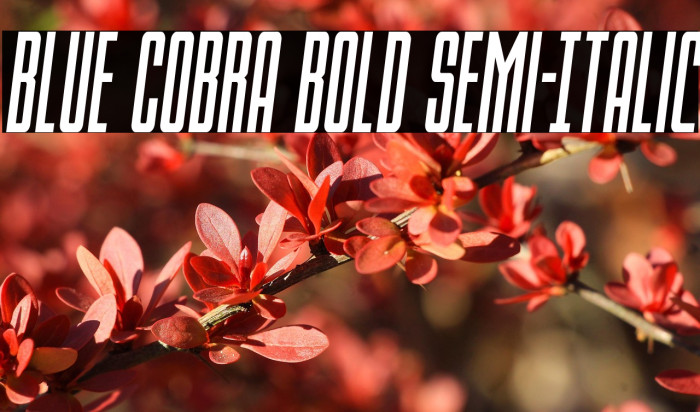 Blue Cobra Bold Semi-Italic Example 2