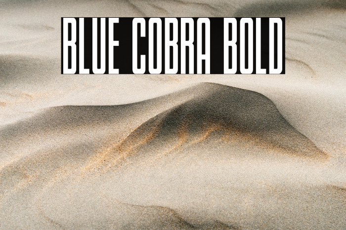 Blue Cobra Bold Example 1