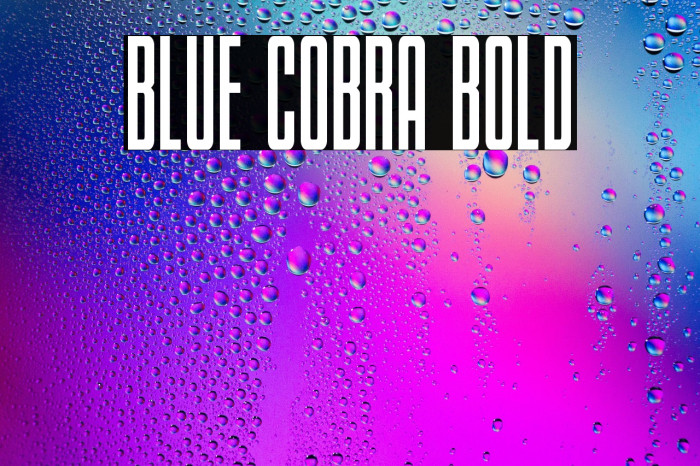 Blue Cobra Bold Example 3