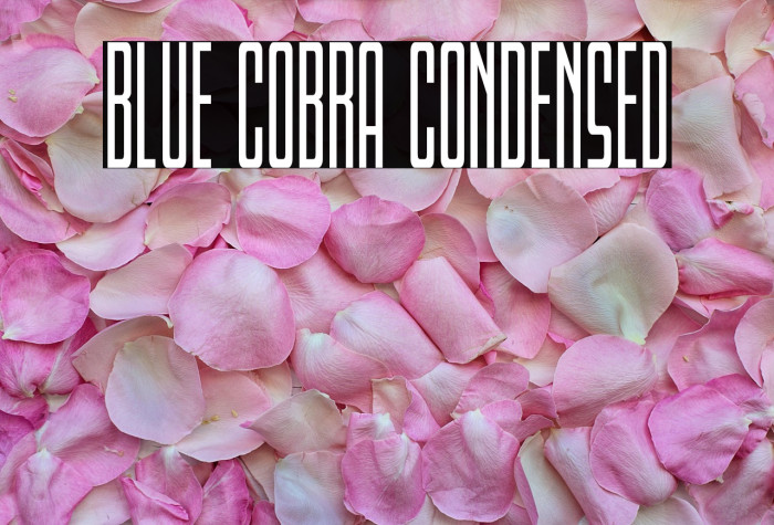 Blue Cobra Condensed Example 1