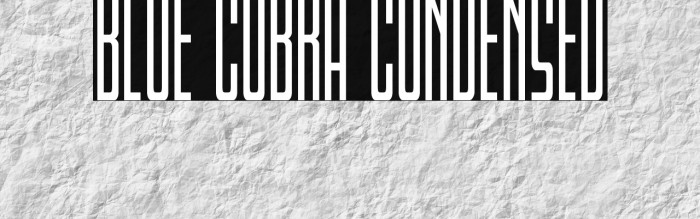 Blue Cobra Condensed Example 2