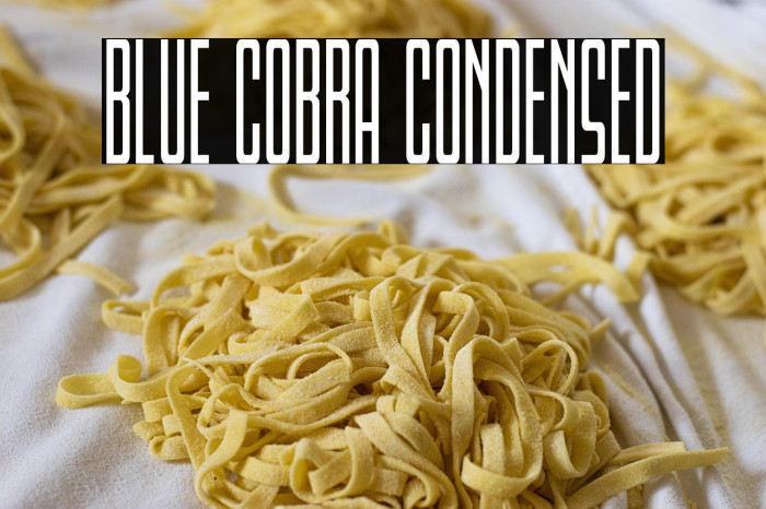Blue Cobra Condensed Example 3