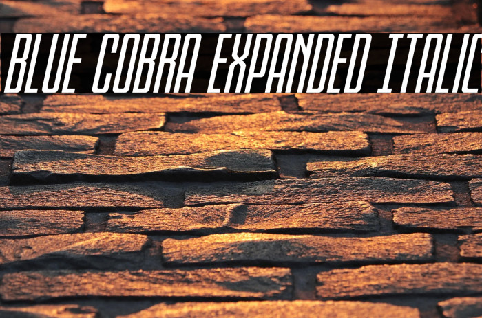 Blue Cobra Expanded Italic Example 2