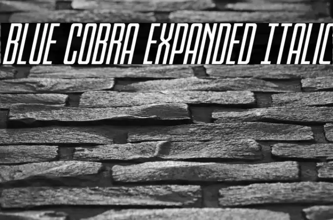 Blue Cobra Expanded Italic Font examples
