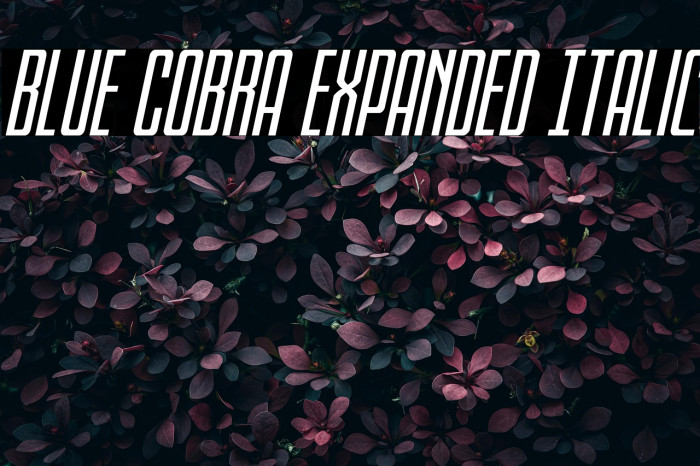 Blue Cobra Expanded Italic Example 3
