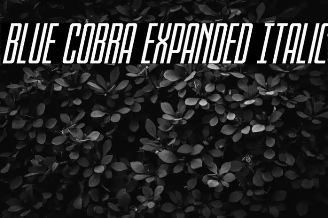 Blue Cobra Expanded Italic Font examples