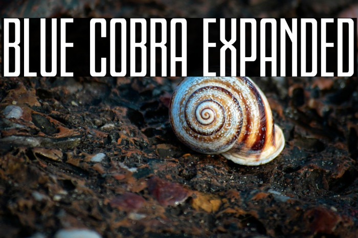Blue Cobra Expanded Example 1