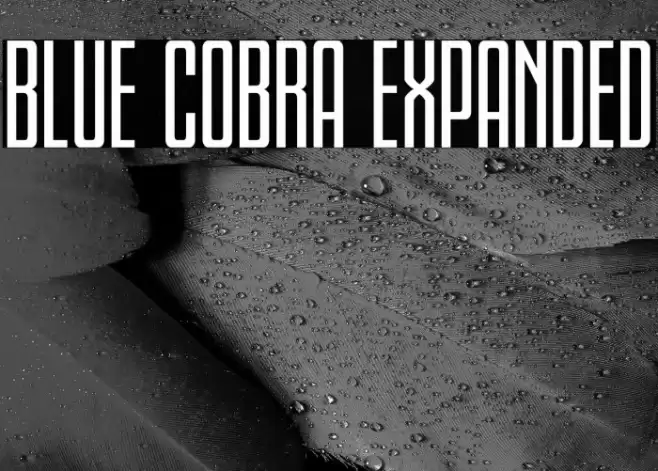 Blue Cobra Expanded Font examples