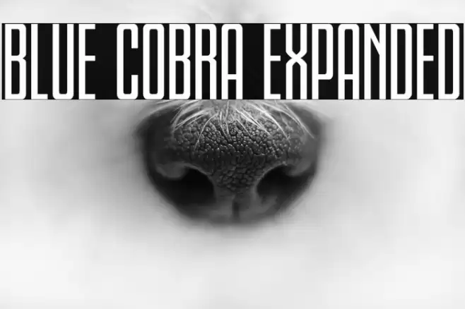 Blue Cobra Expanded Font examples