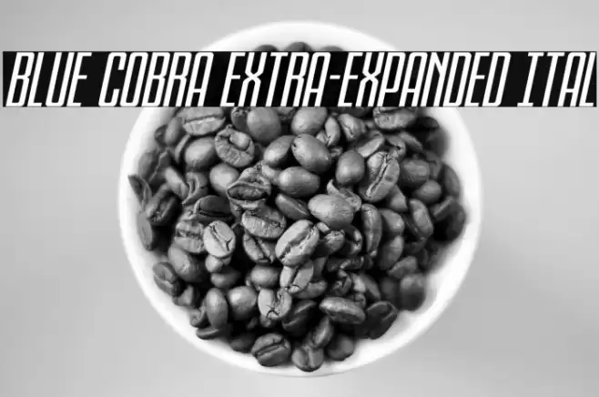 Blue Cobra Extra-Expanded Ital Font examples