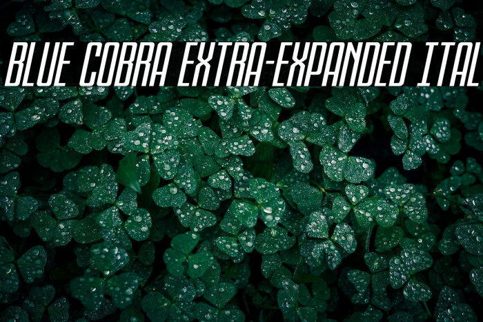 Blue Cobra Extra-Expanded Ital Example 2