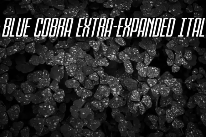 Blue Cobra Extra-Expanded Ital Font examples