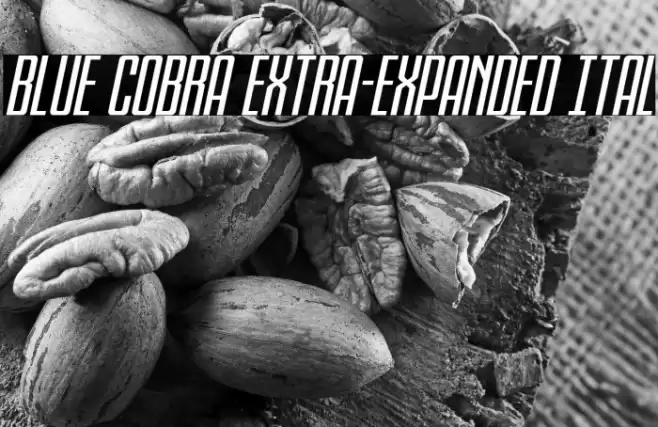 Blue Cobra Extra-Expanded Ital Font examples