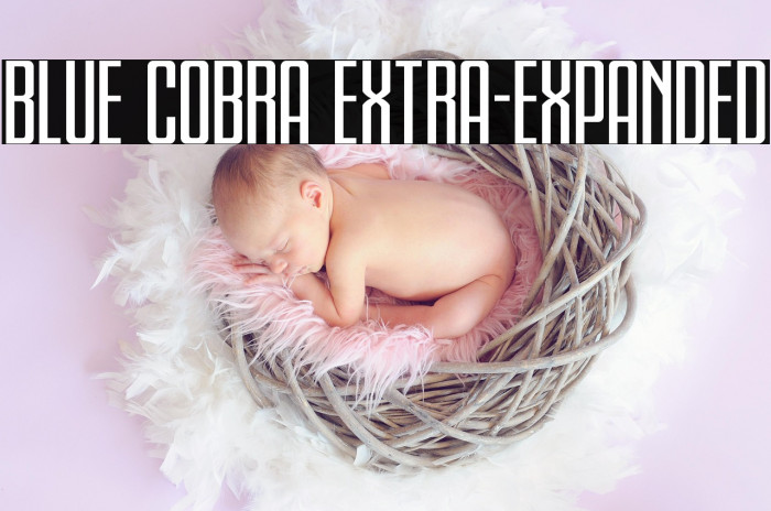 Blue Cobra Extra-Expanded Example 1