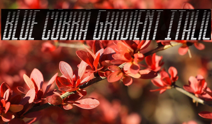 Blue Cobra Gradient Italic Example 1