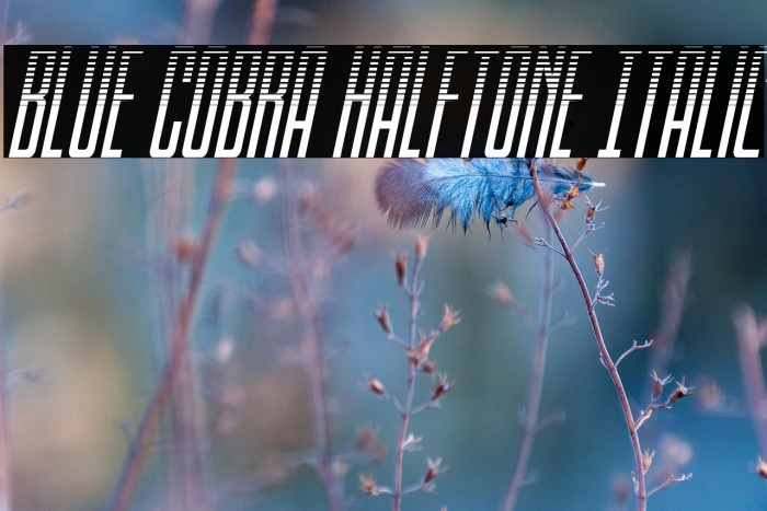 Blue Cobra Halftone Italic Example 3