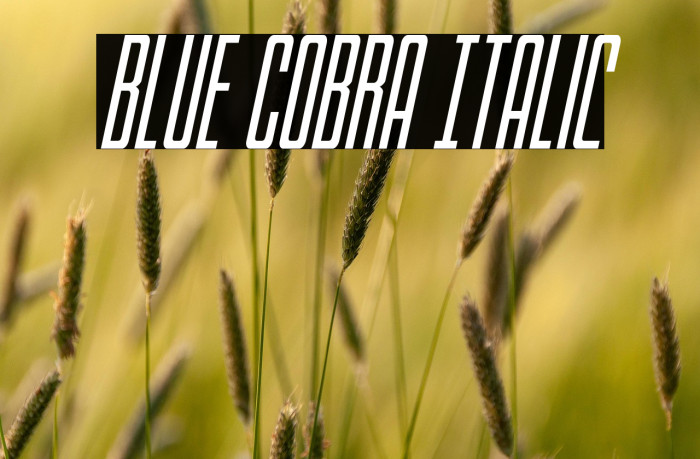 Blue Cobra Italic Example 2
