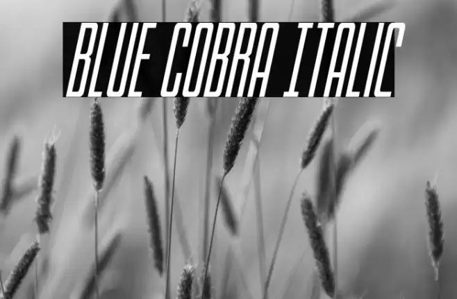 Blue Cobra Italic Font examples