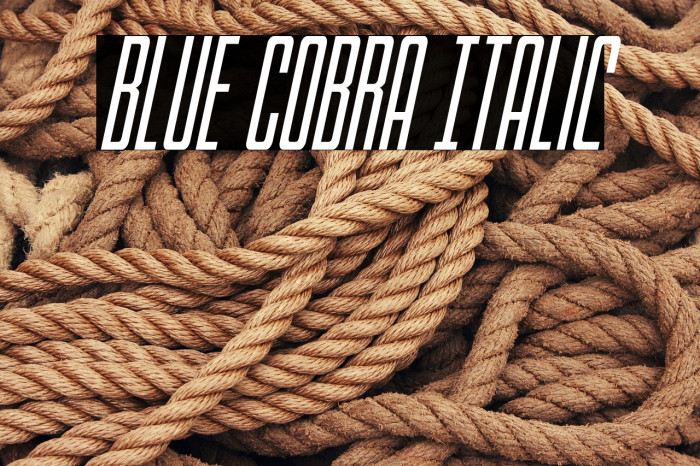 Blue Cobra Italic Example 3